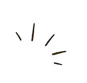 spark